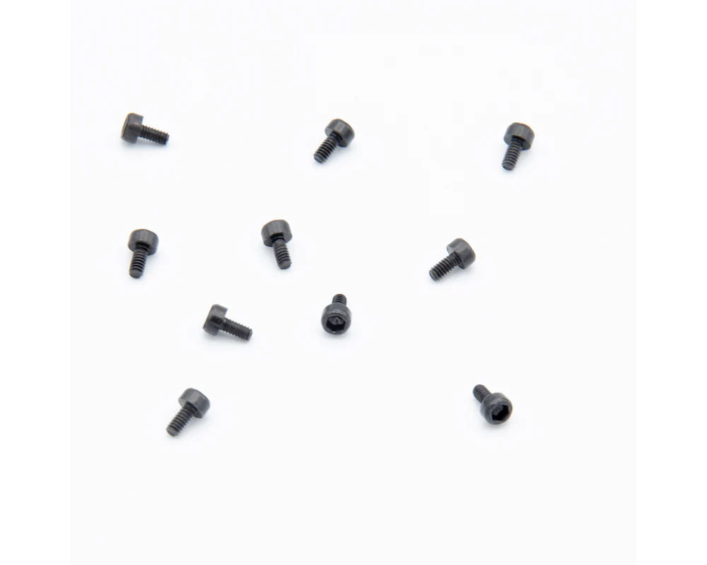 SCA-1E M2x4mm Hex Head Screw